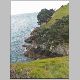 Waiheke Island 080.jpg